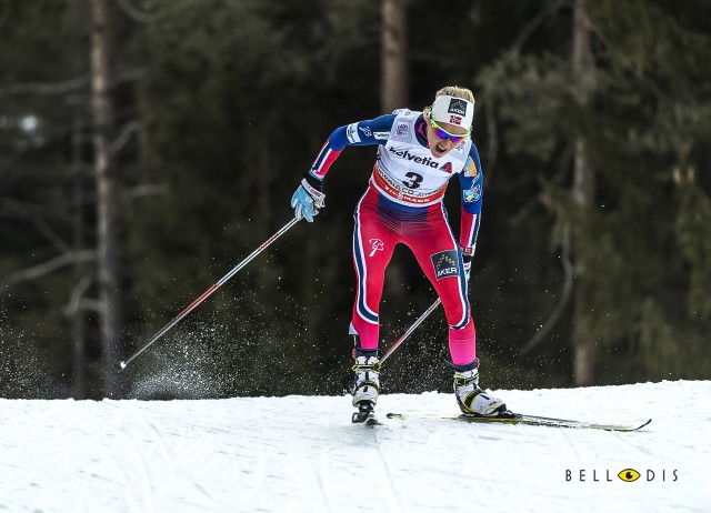 150024  Therese Johaug, Tour de Ski 2015